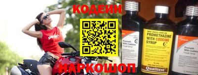 МДПВ Камышлов