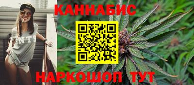 МДПВ Камышлов