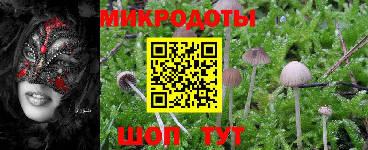 Галлюциногенные грибы ЛСД Магадан