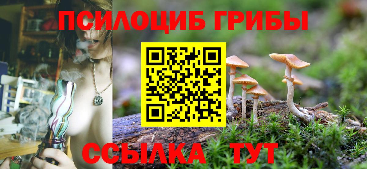 Псилоцибиновые грибы Magic Shrooms  Галлюциногенные грибы прущие грибы  Магадан  Вход с VPN 